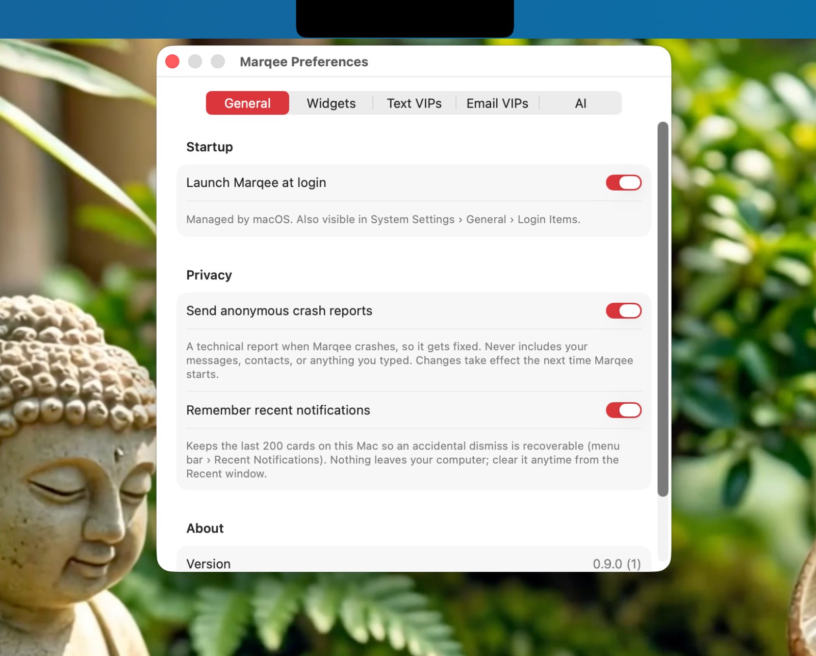 Transom preferences window