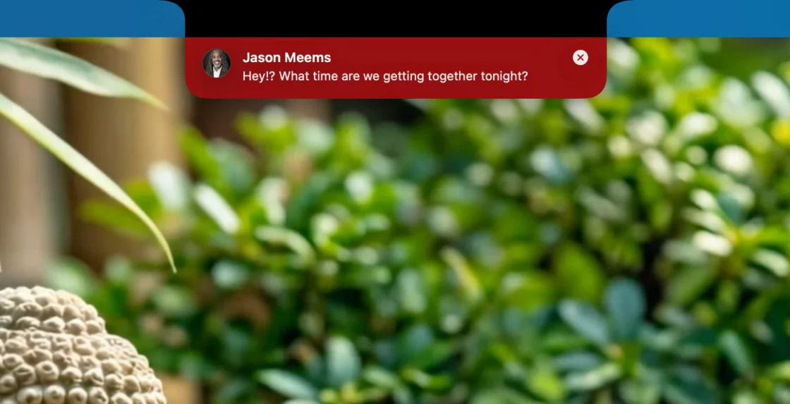 A VIP text pinned in the notch